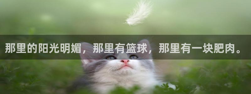 谈球吧体育