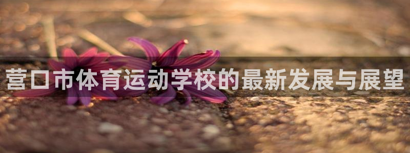 谈球吧体育