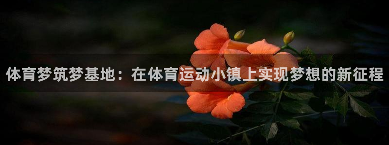 谈球吧体育官网