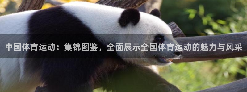 谈球吧体育
