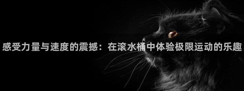 谈球吧体育