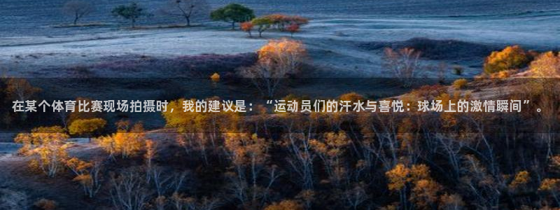 谈球吧体育