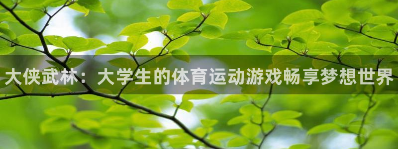 谈球吧