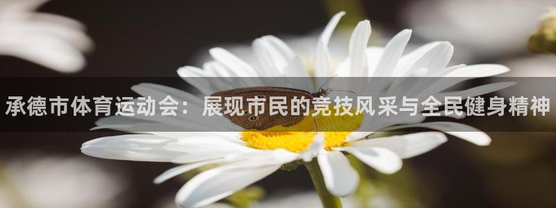 谈球吧体育