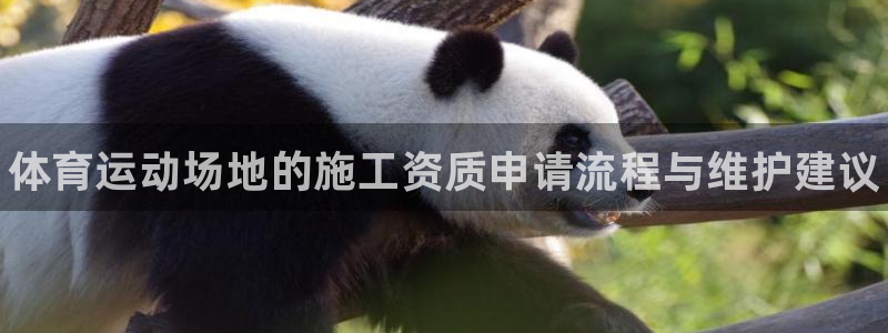 谈球吧体育