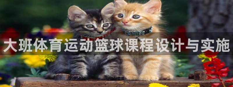 谈球吧体育