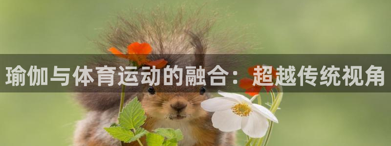 谈球吧体育官网