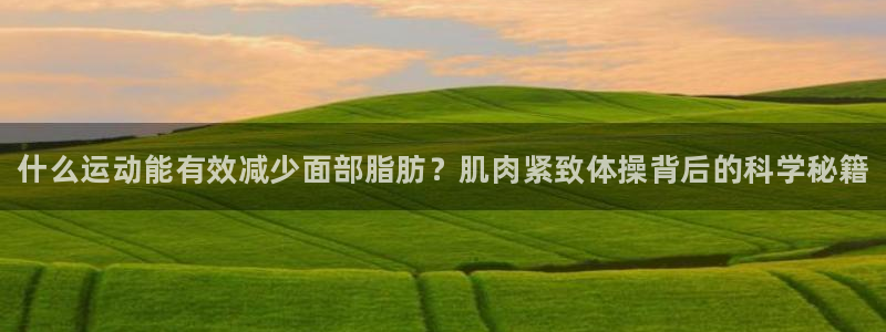 谈球吧体育官网