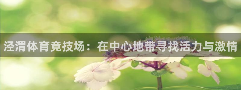 谈球吧体育