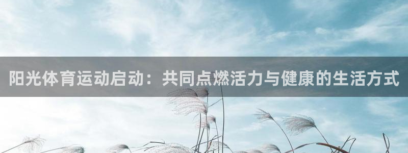 谈球吧体育官网