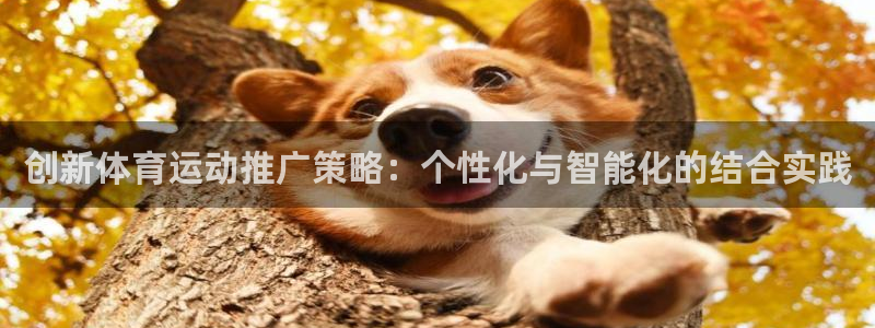 谈球吧