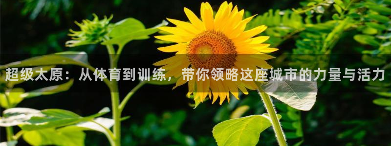 谈球吧体育官网