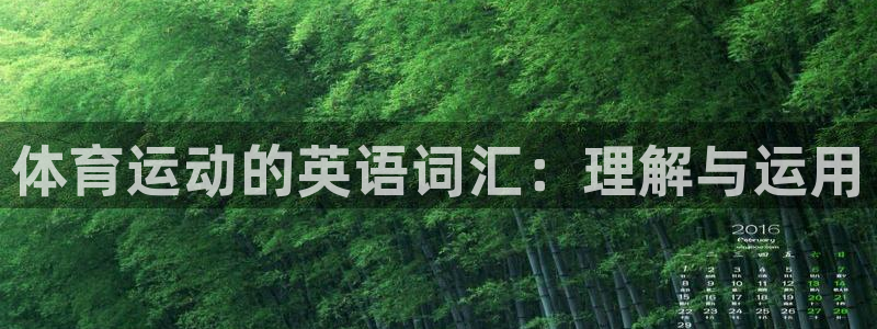 谈球吧