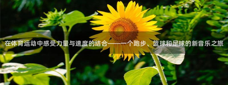 谈球吧