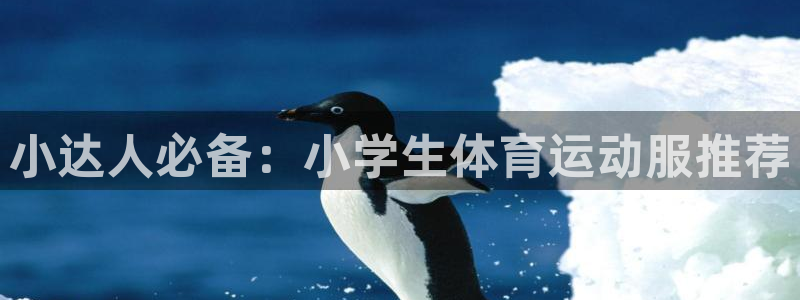 谈球吧体育