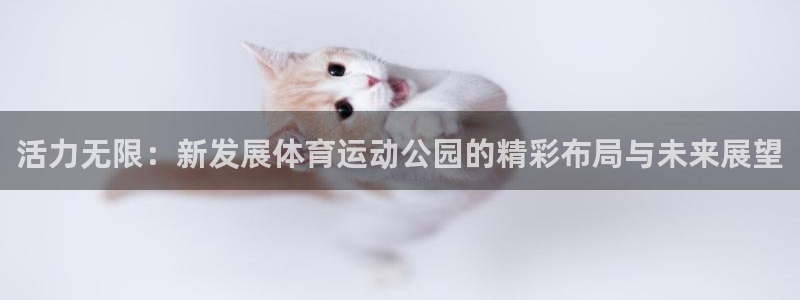 谈球吧