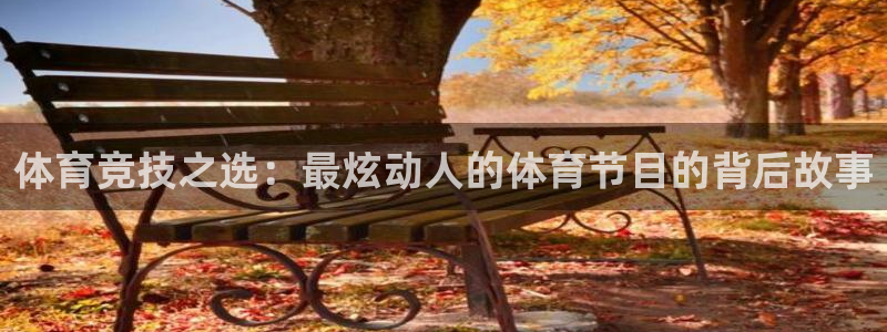 谈球吧体育