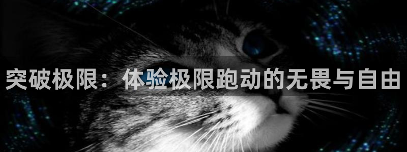 谈球吧体育官网