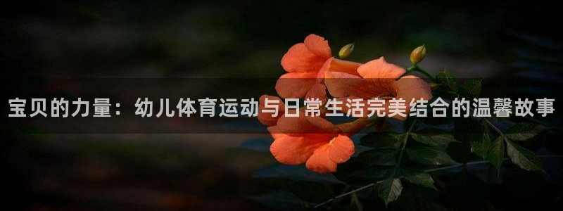谈球吧体育