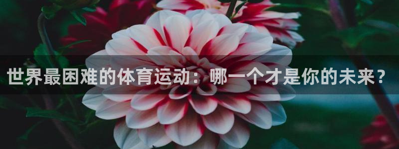 谈球吧体育