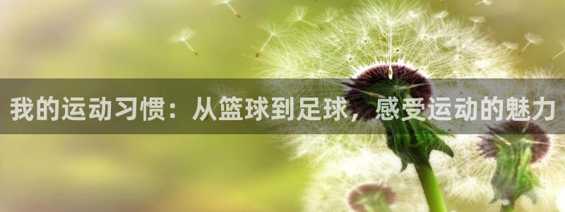 谈球吧